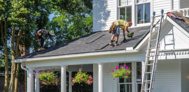 Quick and Trustworthy Emergency Roof Repair Services in Taylor, AL